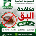 مكافحة البق في 6 أكتوبر