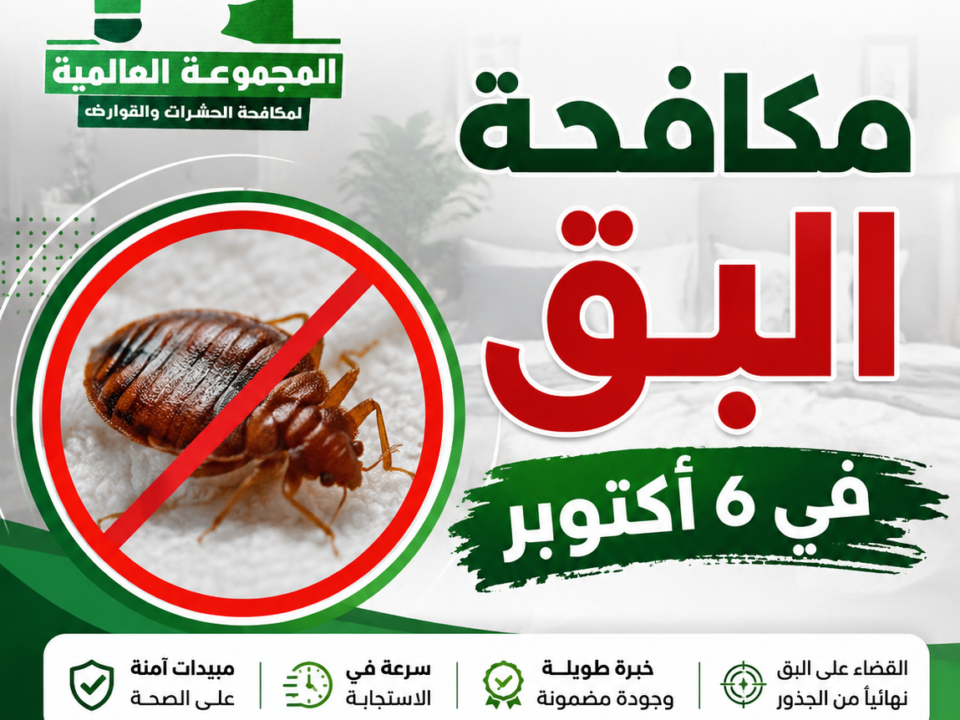 مكافحة البق في 6 أكتوبر
