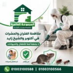 مكافحة الفئران والحشرات في أكتوبر والشيخ زايد بخطط آمنة للأطفال والحيوانات