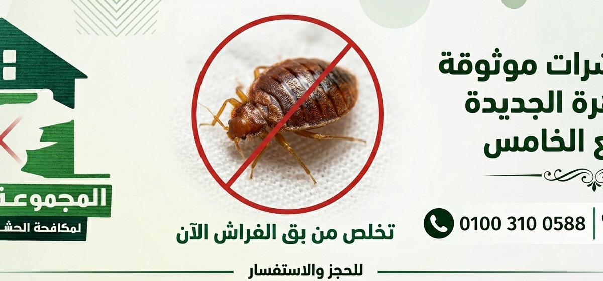 كيف تختار شركة مكافحة حشرات موثوقة في القاهرة الجديدة والتجمع الخامس