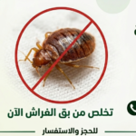 كيف تختار شركة مكافحة حشرات موثوقة في القاهرة الجديدة والتجمع الخامس