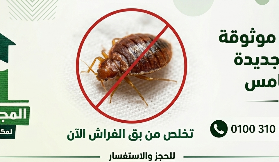 كيف تختار شركة مكافحة حشرات موثوقة في القاهرة الجديدة والتجمع الخامس