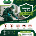 مكافحة حشرات مدينة نصر