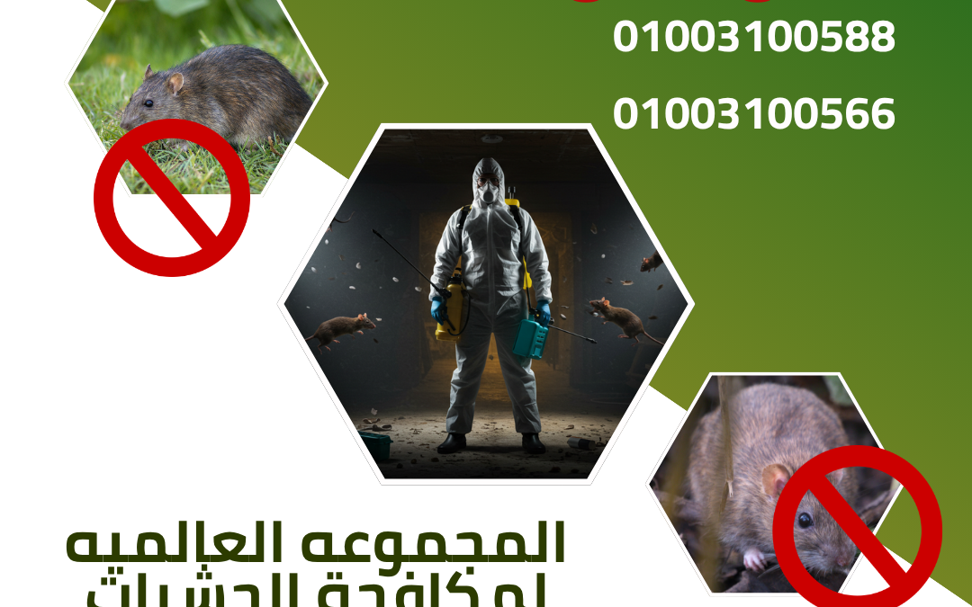 مكافحه فوريه للقوارض
