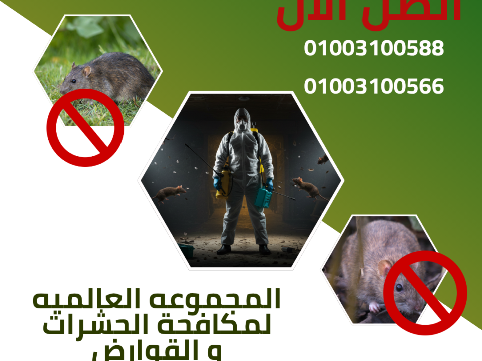 مكافحه فوريه للقوارض