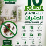 10 نصائح لمنع انتشار الحشرات في منزلك بالمعادي