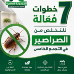 7 خطوات فعالة للتخلص من الصراصير في التجمع الخامس