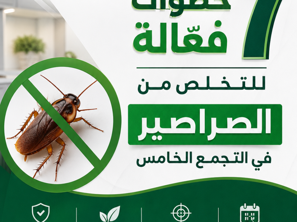 7 خطوات فعالة للتخلص من الصراصير في التجمع الخامس