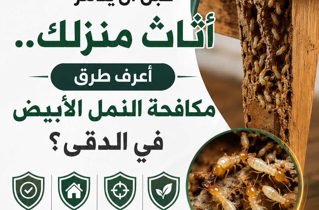 قبل أن يدمر أثاث منزلك..أعرف طرق مكافحة النمل الأبيض في االدقى؟