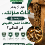 قبل أن يدمر أثاث منزلك..أعرف طرق مكافحة النمل الأبيض في االدقى؟