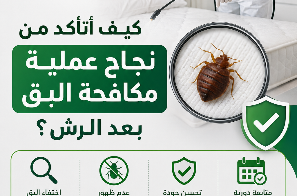 كيف أتأكد من نجاح عملية مكافحة البق بعد الرش؟