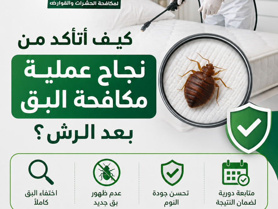 كيف أتأكد من نجاح عملية مكافحة البق بعد الرش؟
