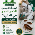 كيف أتخلص من الصراصير في الدقي؟