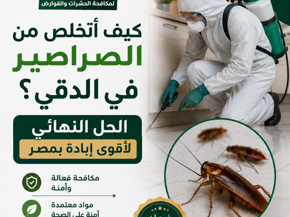 كيف أتخلص من الصراصير في الدقي؟
