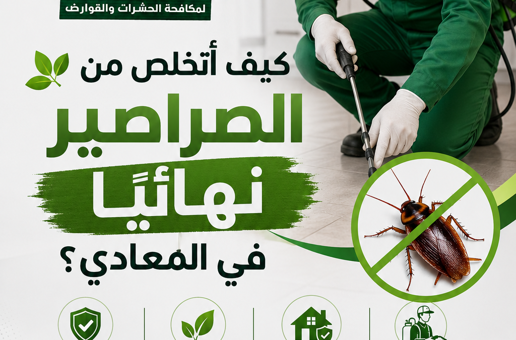 كيف أتخلص من الصراصير نهائيًا في المعادي؟