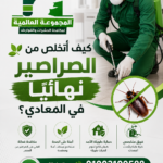 كيف أتخلص من الصراصير نهائيًا في المعادي؟