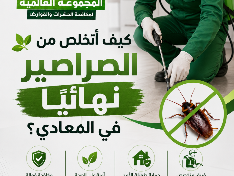 كيف أتخلص من الصراصير نهائيًا في المعادي؟