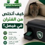 كيف أتخلص من الفئران في فيصل؟