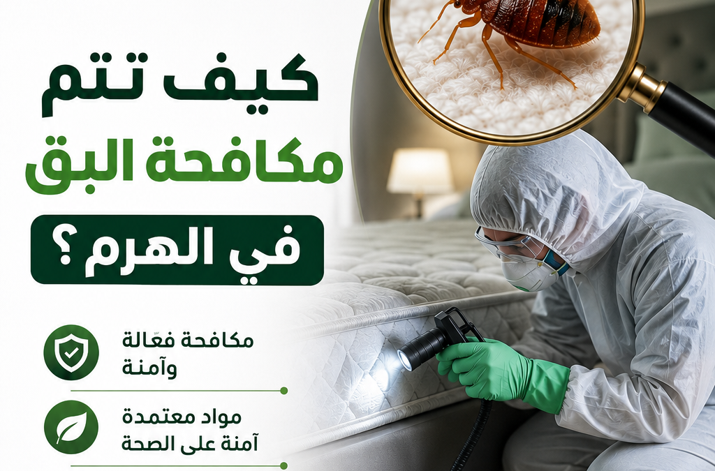 كيف تتم مكافحة البق في الهرم؟