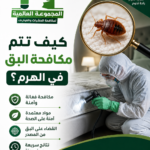 كيف تتم مكافحة البق في الهرم؟
