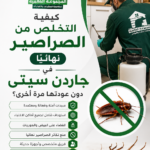 كيفية التخلص من الصراصير نهائيًا في جاردن سيتى دون عودتها مرة أخرى؟