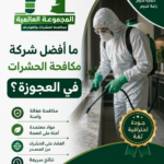 ما أفضل شركة مكافحة الحشرات في العجوزة؟