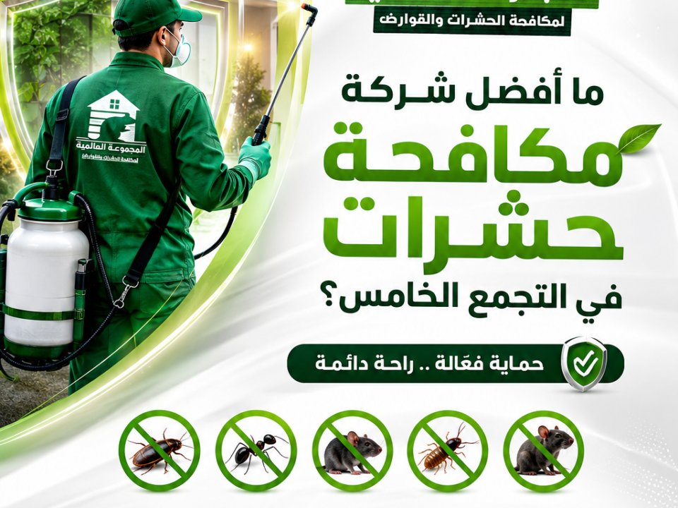 ما أفضل شركة مكافحة حشرات في التجمع الخامس؟