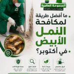 ما هى افضل طريقه لمكافحة النمل الابيض فى اكتوبر ؟