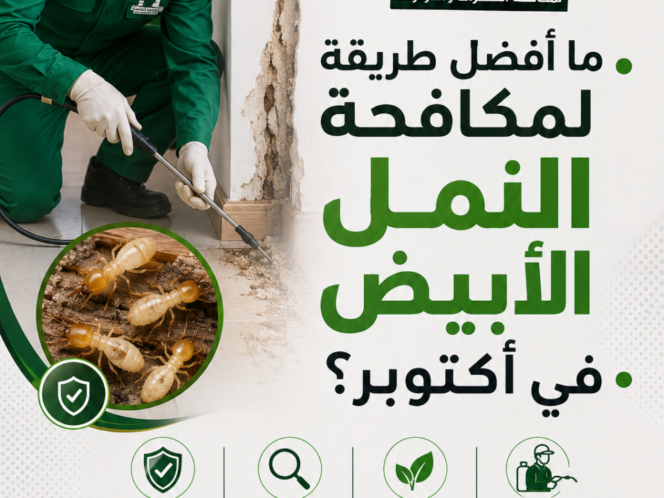 ما هى افضل طريقه لمكافحة النمل الابيض فى اكتوبر ؟