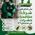 متى أحتاج إلى شركة مكافحة حشرات في مدينتي؟