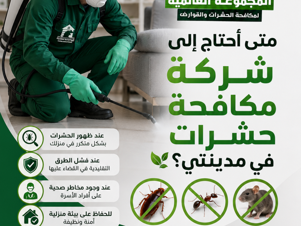 متى أحتاج إلى شركة مكافحة حشرات في مدينتي؟