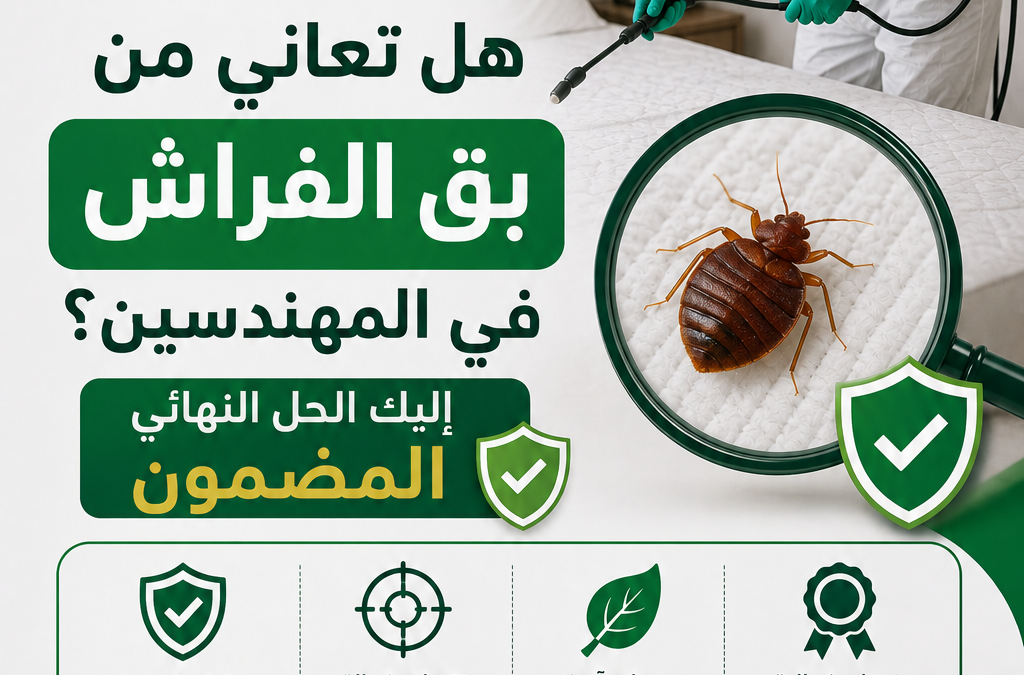 هل تعاني من بق الفراش في المهندسين؟ إليك الحل النهائي المضمون