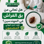 هل تعاني من بق الفراش في المهندسين؟ إليك الحل النهائي المضمون