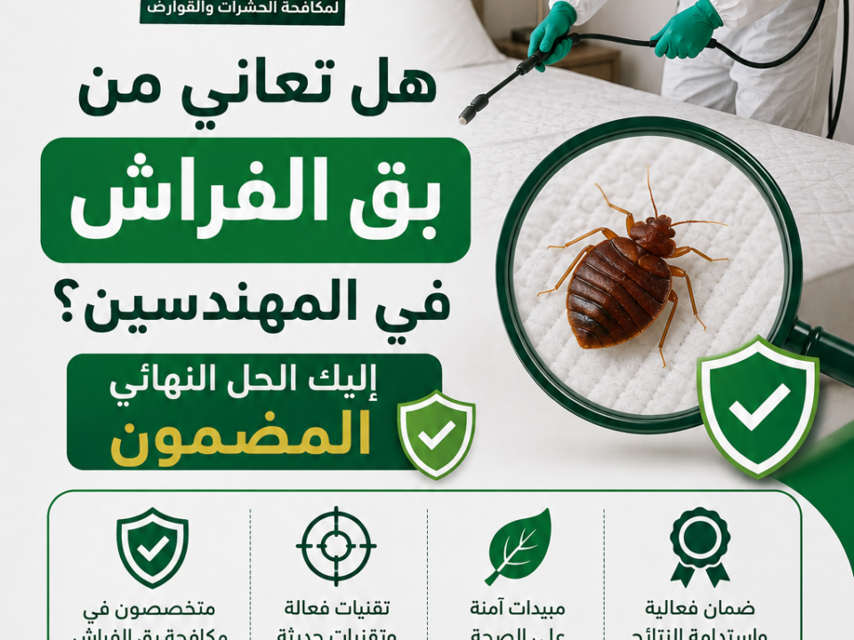 هل تعاني من بق الفراش في المهندسين؟ إليك الحل النهائي المضمون