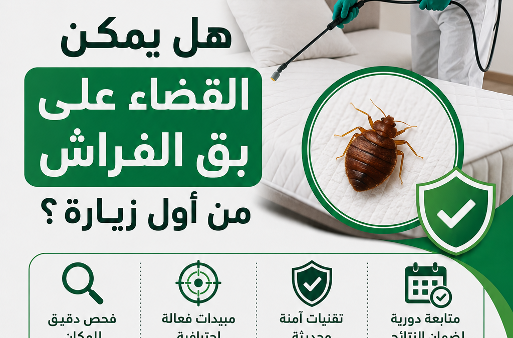 هل يمكن القضاء على بق الفراش من أول زيارة؟