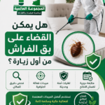 هل يمكن القضاء على بق الفراش من أول زيارة؟