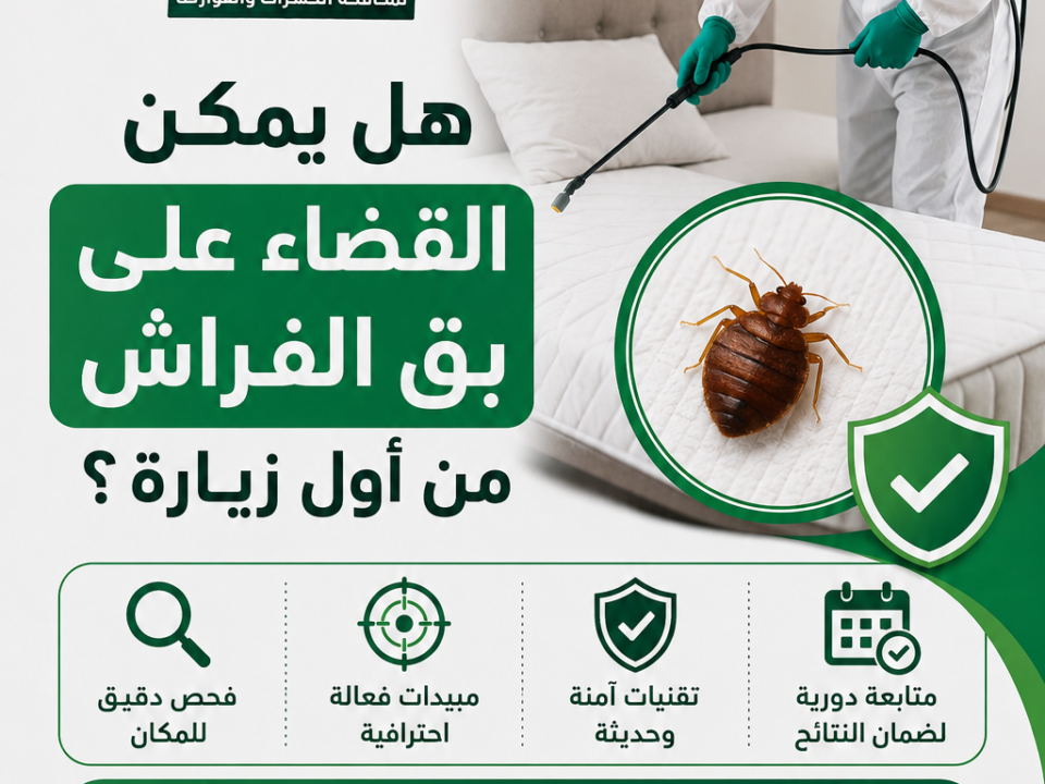 هل يمكن القضاء على بق الفراش من أول زيارة؟