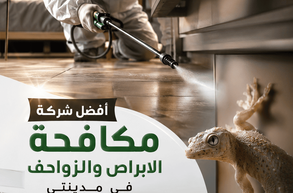 أفضل شركة مكافحة الابراص و الزواحف في مدينتي