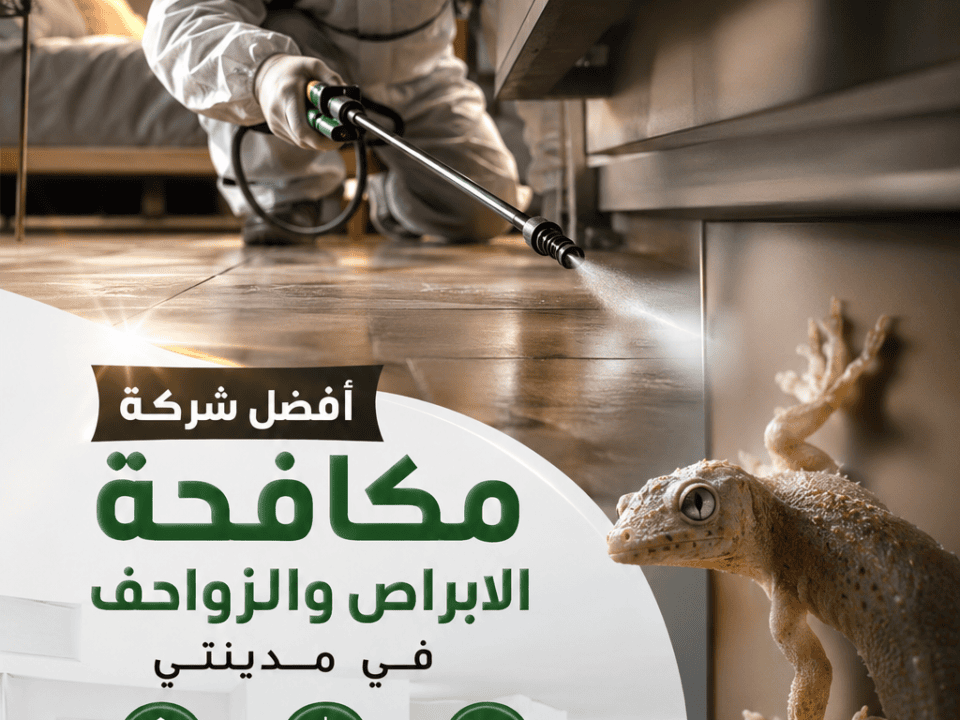 أفضل شركة مكافحة الابراص و الزواحف في مدينتي