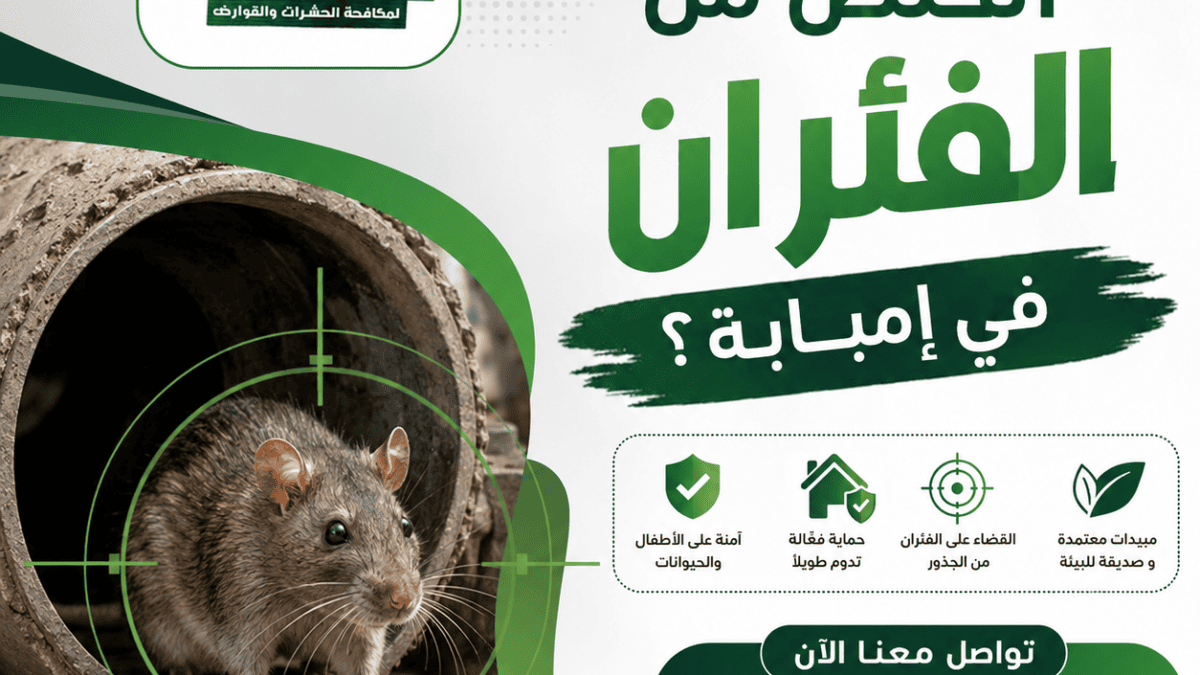 كيف أتخلص من الفئران في إمبابة؟