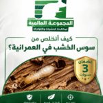 كيف أتخلص من سوس الخشب في العمرانية؟