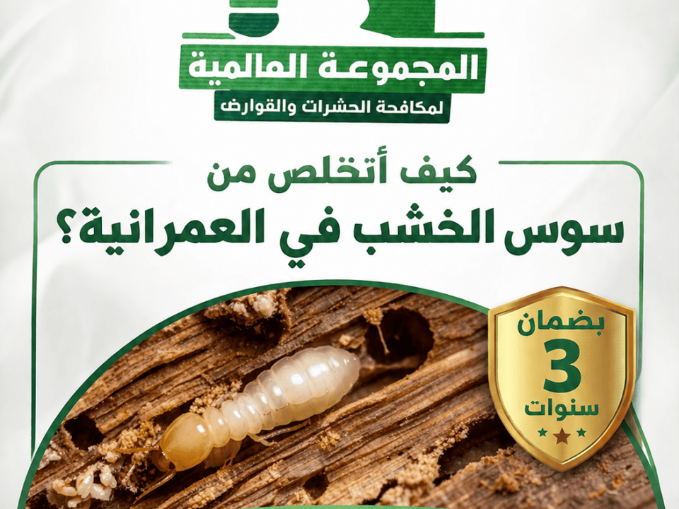 كيف أتخلص من سوس الخشب في العمرانية؟