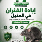 كيف يتم إبادة الفئران في المنيل؟