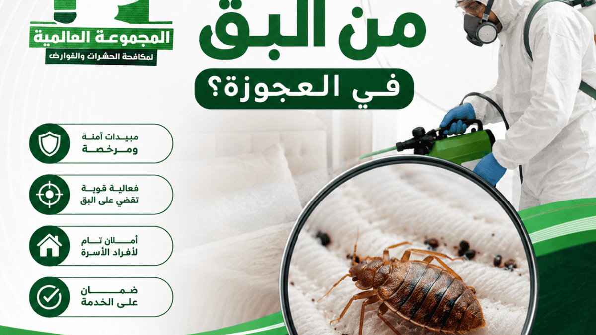 كيف يتم التخلص من البق في العجوزة؟