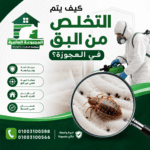 كيف يتم التخلص من البق في العجوزة؟