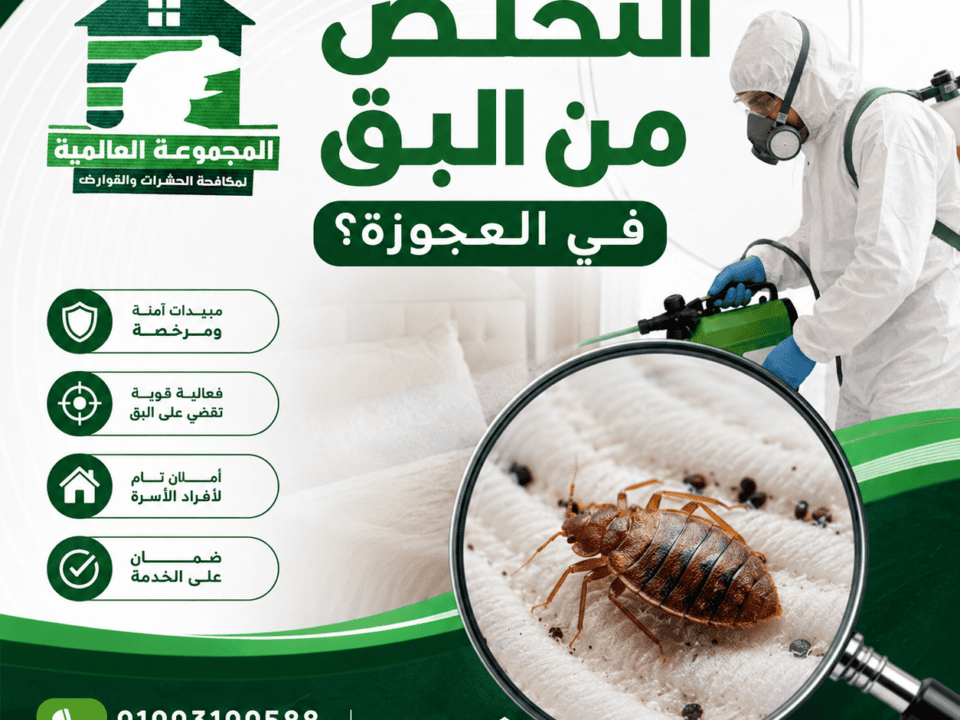 كيف يتم التخلص من البق في العجوزة؟