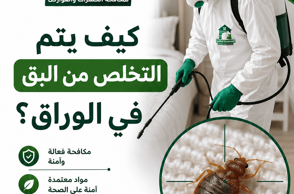 كيف يتم التخلص من البق في الوراق؟