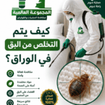 كيف يتم التخلص من البق في الوراق؟