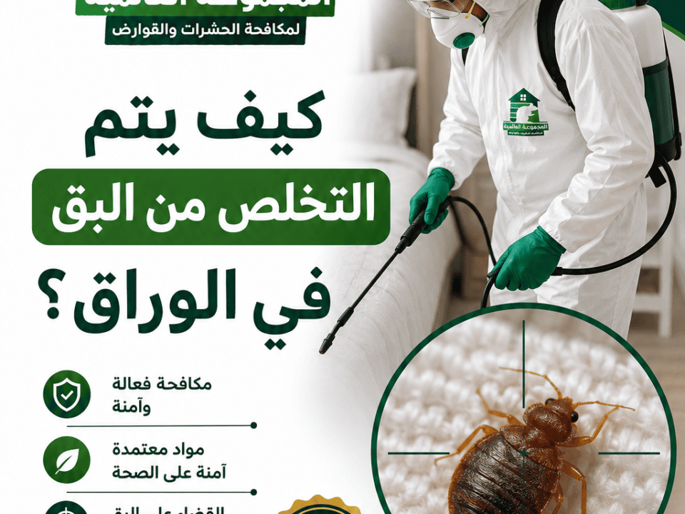 كيف يتم التخلص من البق في الوراق؟