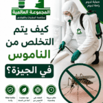 كيف يتم التخلص من الناموس في الجيزة؟